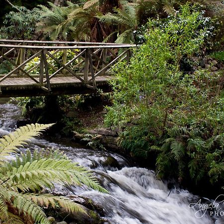 Bed and Breakfast Frankie & Hugh'S Ohakune Exterior foto