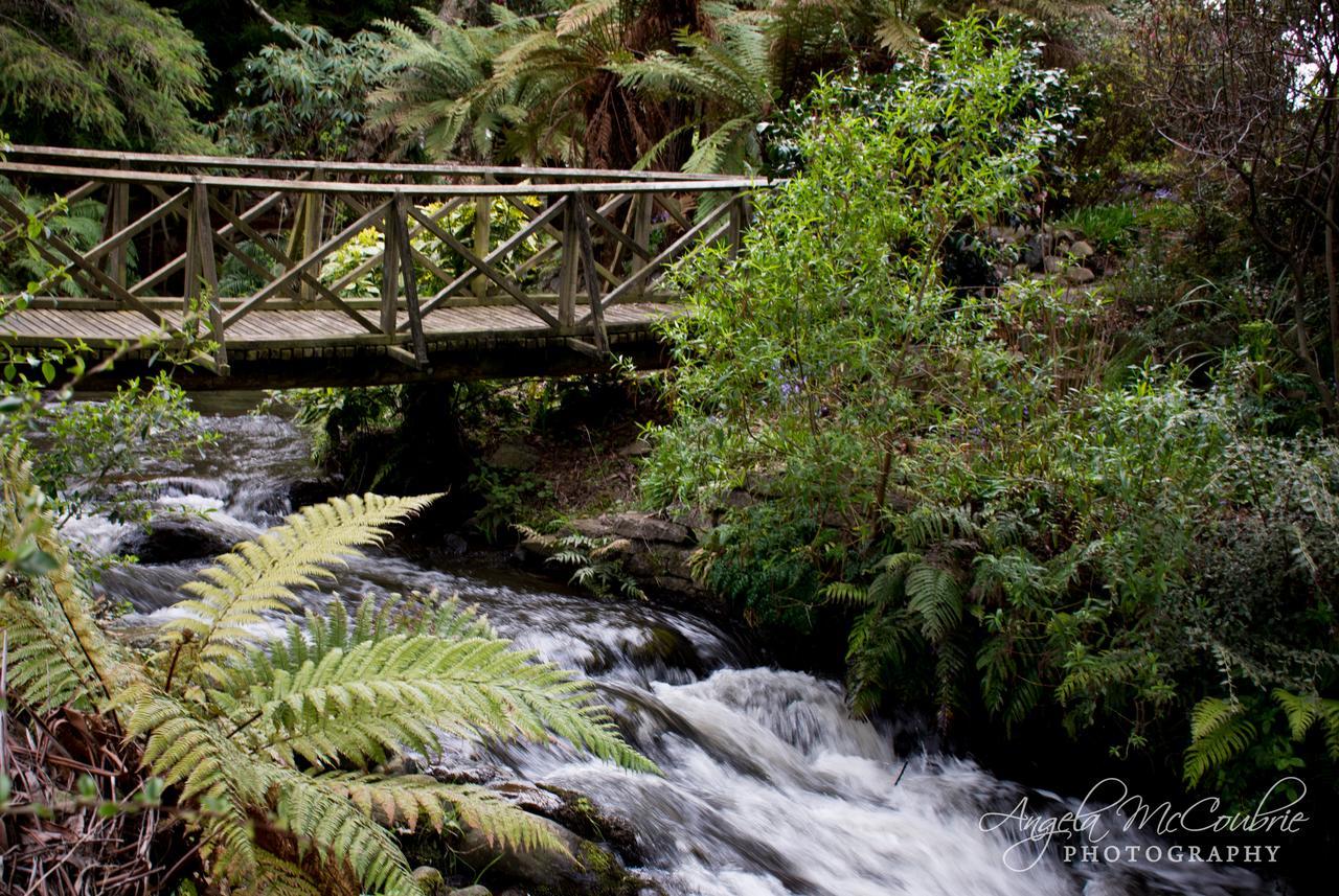 Bed and Breakfast Frankie & Hugh'S Ohakune Exterior foto